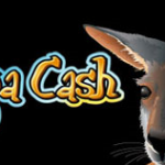 December 2020 recap and 50 free spins on Kanga Cash